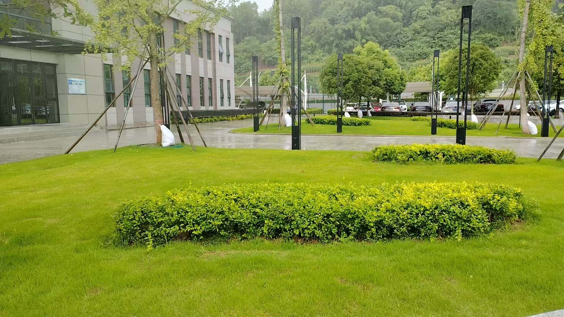 廠(chǎng)區綠化煥新顏1.jpg 廠(chǎng)區綠化煥新顏1.jpg